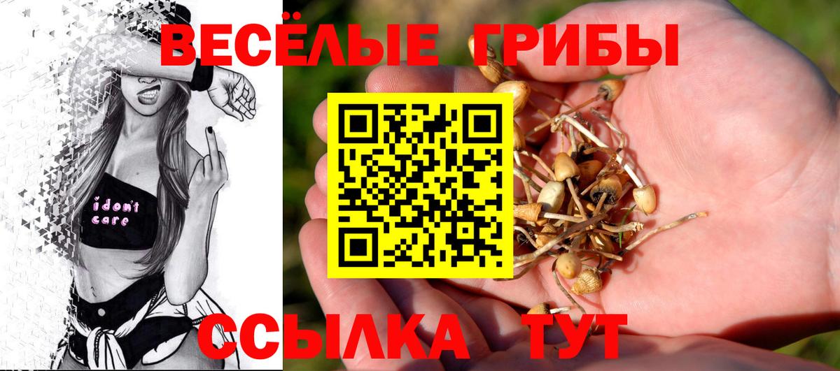 Псилоцибиновые грибы прущие грибы Тутаев