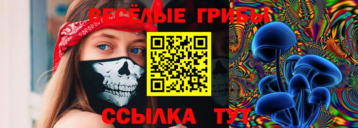 Тутаев  Псилоцибиновые грибы MAGIC MUSHROOMS  Вход с VPN 
